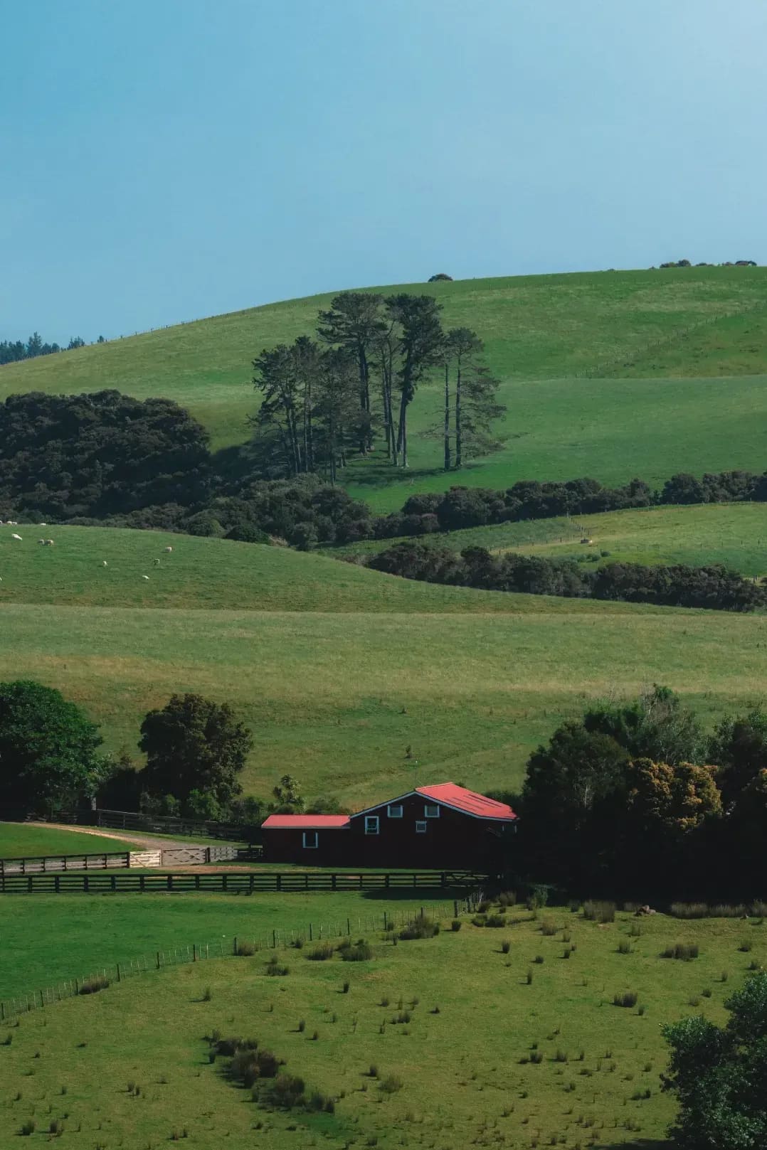 Greenfield Heritage Farm 6