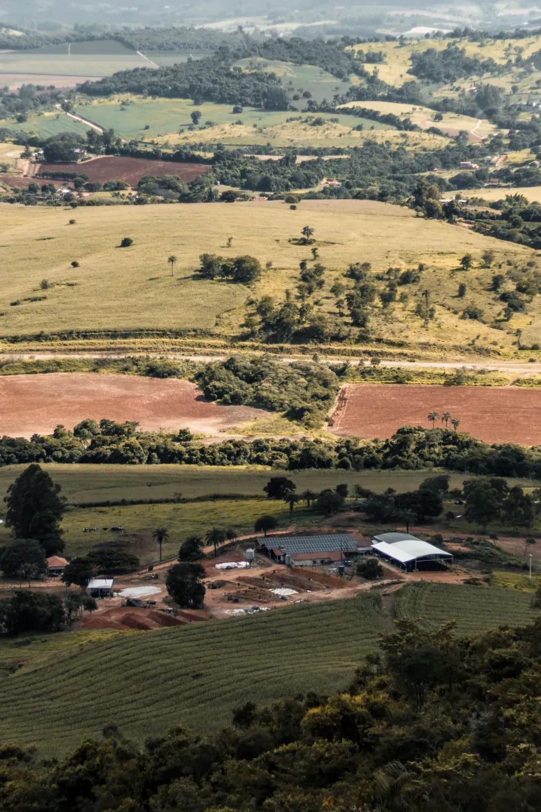 Livestock rearing and care
