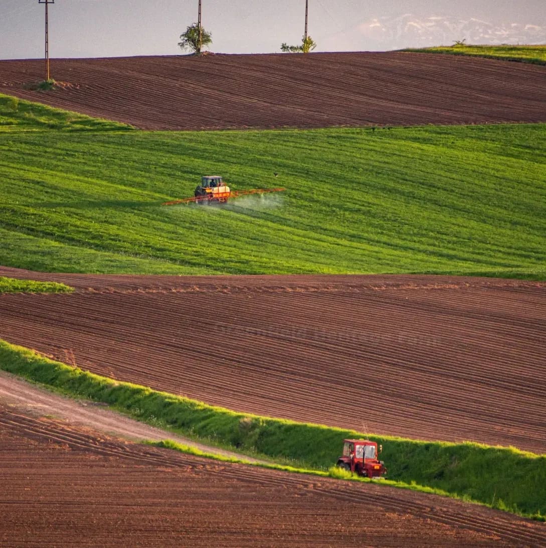 Pick-your-own farm experiences